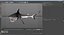 Sharks Rigged Collection 9 per Cinema 4D