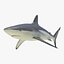 Sharks Rigged Collection 9 per Cinema 4D