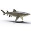 Sharks Rigged Collection 9 per Cinema 4D