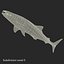Sharks Rigged Collection 9 per Cinema 4D
