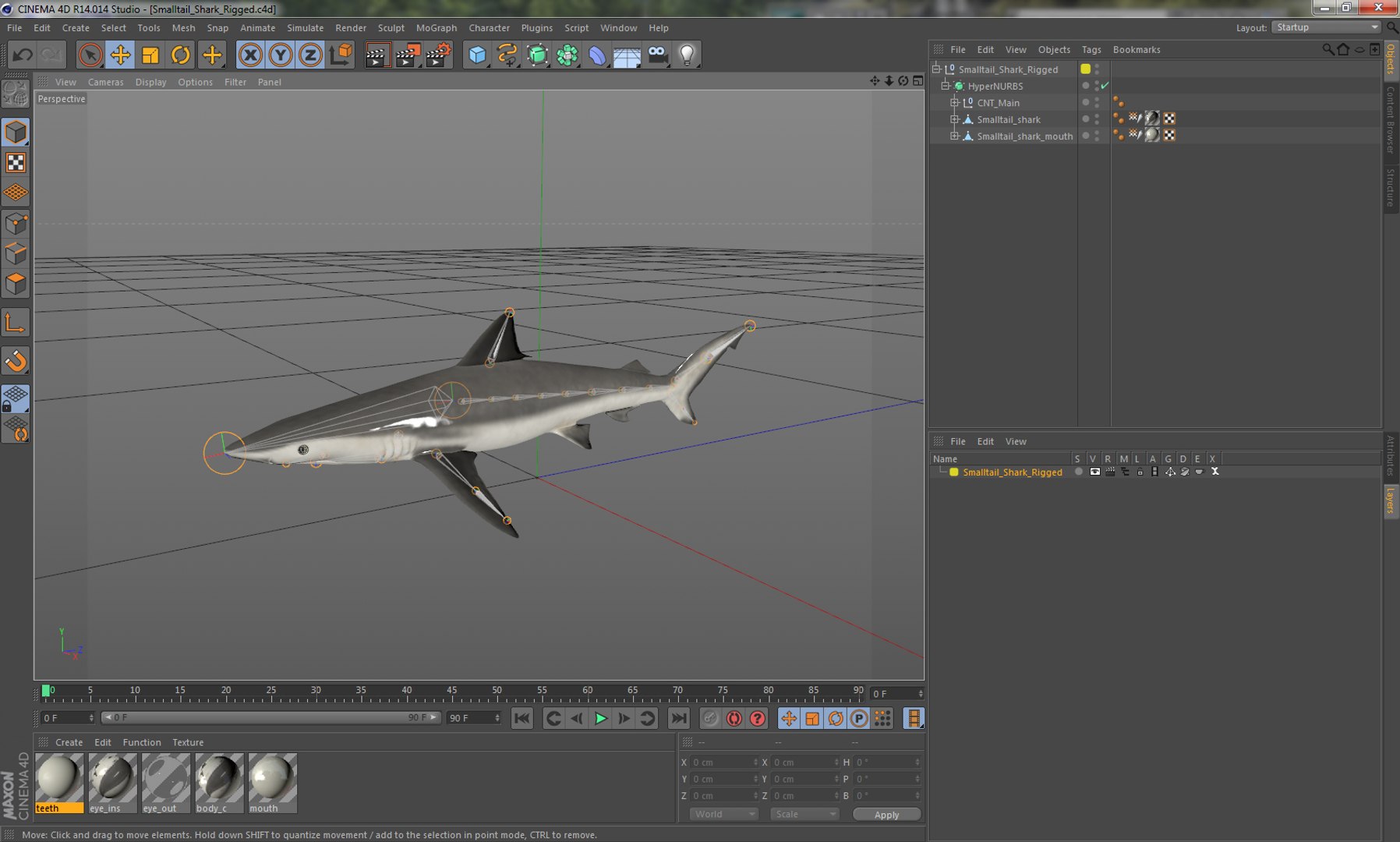3D sharks rigged 9 https://p.turbosquid.com/ts-thumb/P0/YQIDU6/iVGtolRa/smalltailsharkriggedcinema4d3dmodel25/jpg/1582543853/1920x1080/fit_q87/951ee54804e9886928eb43e6a9bb9fb76db04ab7/smalltailsharkriggedcinema4d3dmodel25.jpg