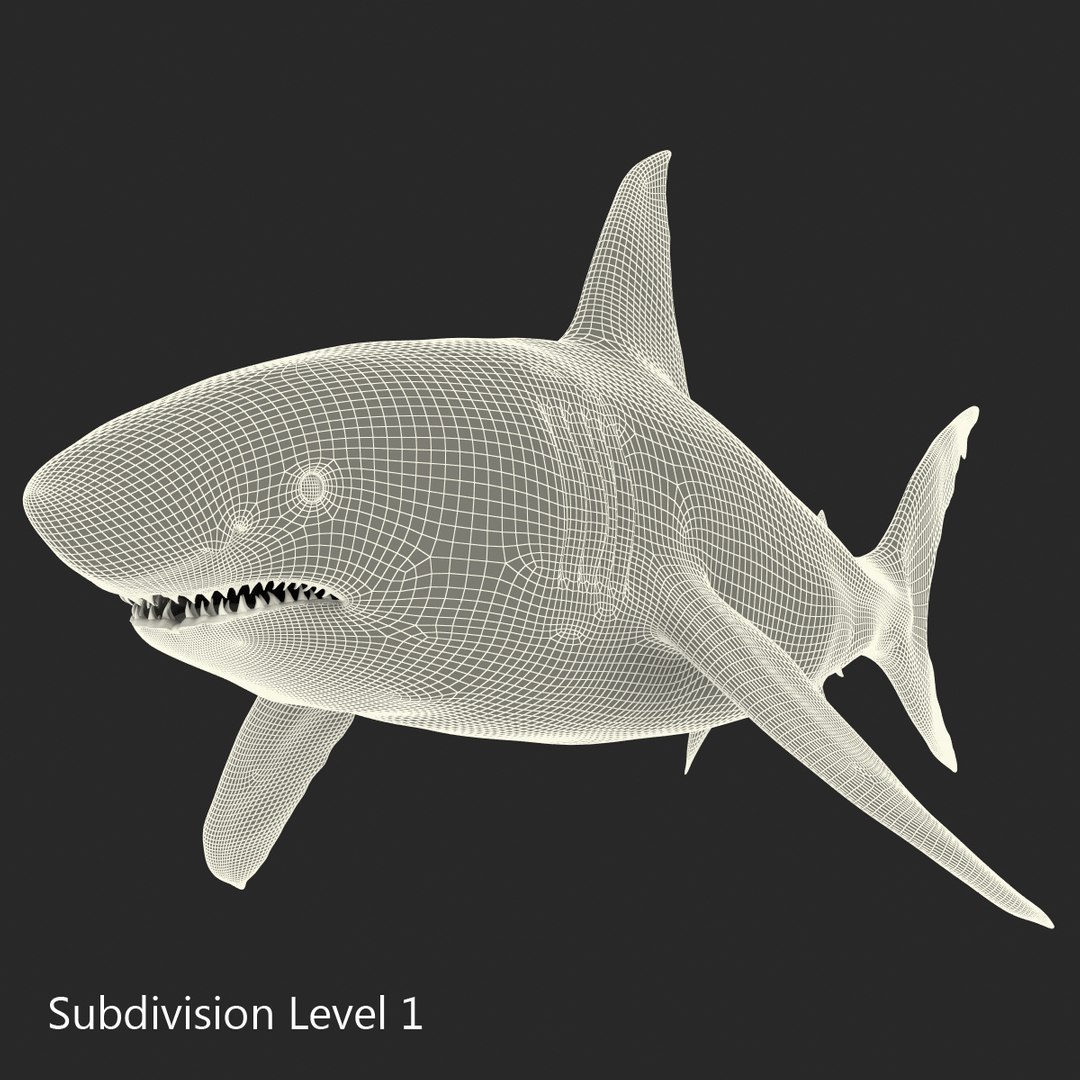 3D sharks rigged 9 https://p.turbosquid.com/ts-thumb/P0/YQIDU6/jV2dmenD/sharkscollection3dmodels155/jpg/1465305620/1920x1080/fit_q87/57e3330bf1957dbdae4be8be547387ab8292f407/sharkscollection3dmodels155.jpg