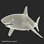 Sharks Rigged Collection 9 per Cinema 4D