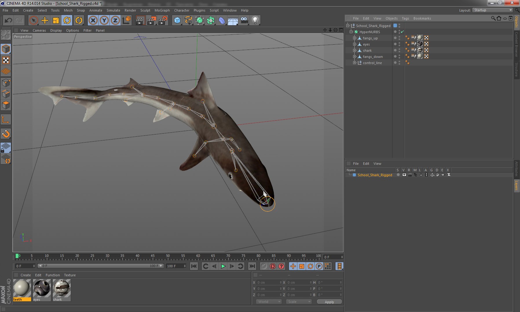 3D sharks rigged 9 https://p.turbosquid.com/ts-thumb/P0/YQIDU6/jjG0frd8/schoolsharkriggedcinema4d3dmodel16/jpg/1582543852/1920x1080/fit_q87/103ebfffa52ab3ab3fb662e01c9e302cfaf65540/schoolsharkriggedcinema4d3dmodel16.jpg