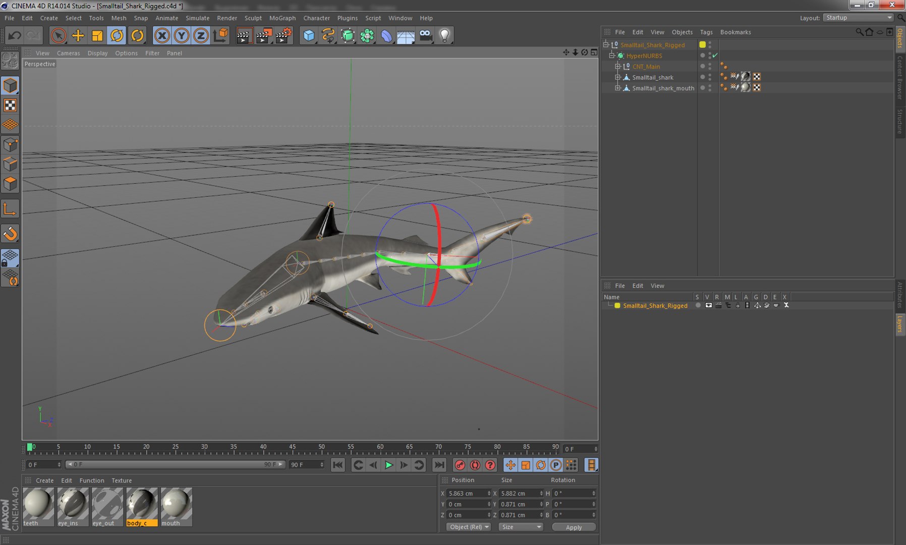 3D sharks rigged 9 https://p.turbosquid.com/ts-thumb/P0/YQIDU6/jx1G0dMx/smalltailsharkriggedcinema4d3dmodel26/jpg/1582543853/1920x1080/fit_q87/7232074b408279681992fd1adb1dd55f3b16eb08/smalltailsharkriggedcinema4d3dmodel26.jpg