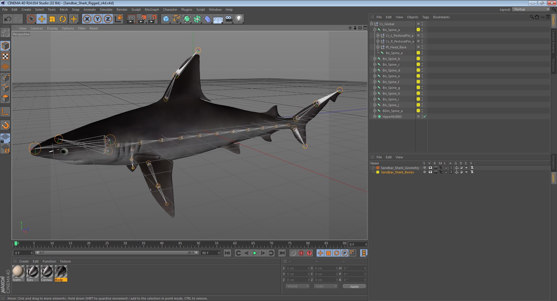 3D sharks rigged 9 https://p.turbosquid.com/ts-thumb/P0/YQIDU6/k3ADIpCW/sandbarsharkriggedcinema4d3dmodel25/jpg/1582543852/1920x1080/fit_q87/a1dececc06eaded1531cf322094f8d728b819c5b/sandbarsharkriggedcinema4d3dmodel25.jpg
