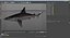 Sharks Rigged Collection 9 per Cinema 4D