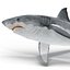 Sharks Rigged Collection 9 per Cinema 4D