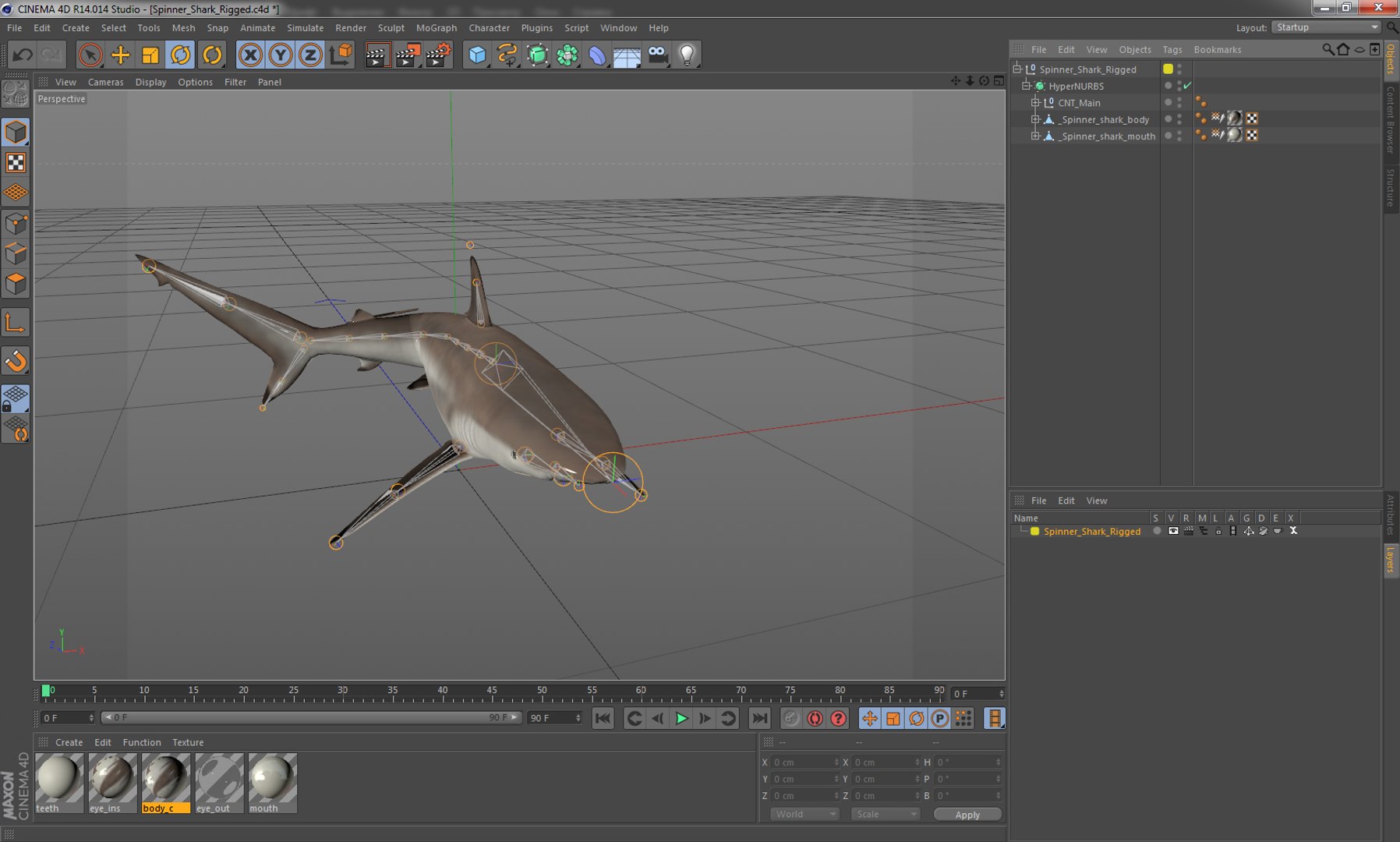 3D sharks rigged 9 https://p.turbosquid.com/ts-thumb/P0/YQIDU6/ktCCi71n/spinnersharkriggedcinema4d3dmodel25/jpg/1582543853/1920x1080/fit_q87/91ad3d6a55e9ab161ed516f2e0c02373e338b4a9/spinnersharkriggedcinema4d3dmodel25.jpg