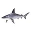 Sharks Rigged Collection 9 per Cinema 4D