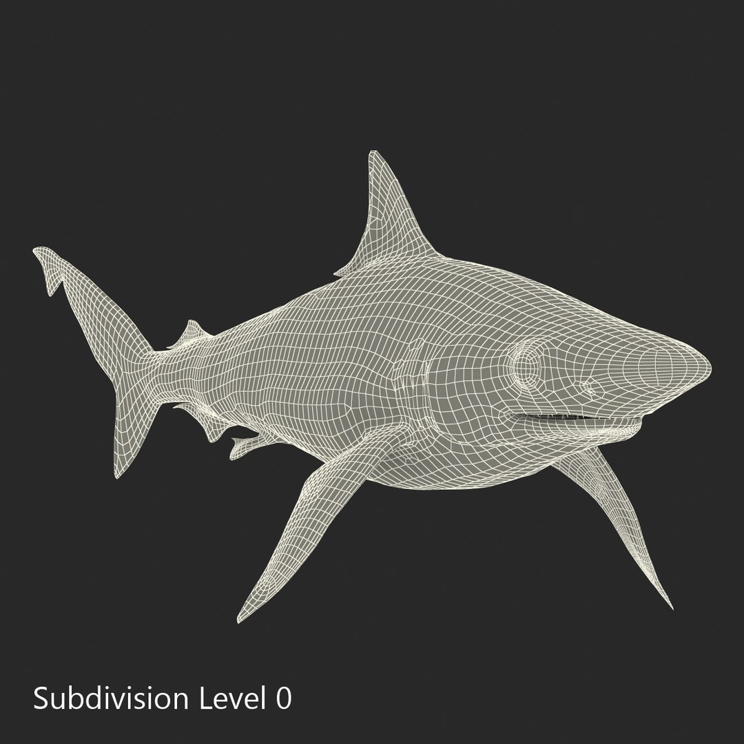 3D sharks rigged 9 https://p.turbosquid.com/ts-thumb/P0/YQIDU6/lrQUm7qK/sharkscollection3dmodels158/jpg/1465305620/1920x1080/fit_q87/b686669dd1bd87bcab3631e550ee9dfafffc7c4d/sharkscollection3dmodels158.jpg
