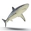 Sharks Rigged Collection 9 per Cinema 4D
