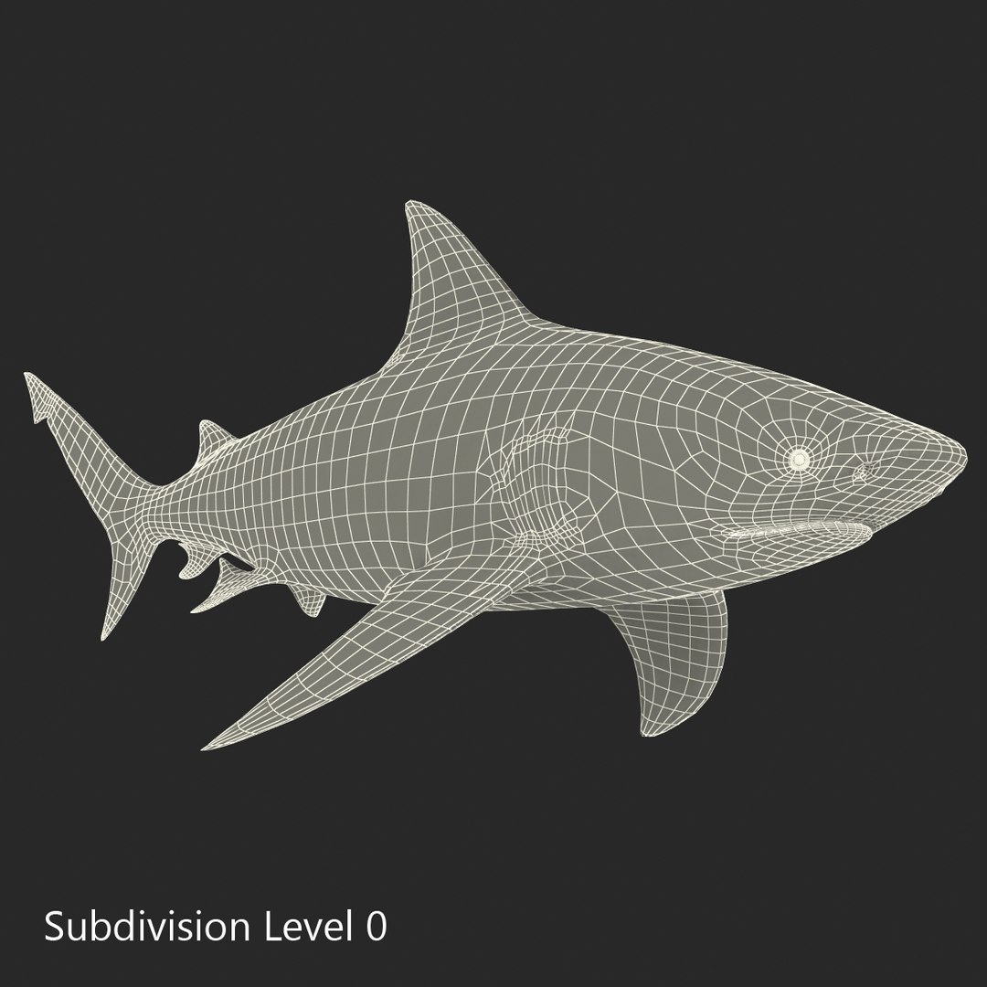 3D sharks rigged 9 https://p.turbosquid.com/ts-thumb/P0/YQIDU6/nJ7NluY3/sharkscollection3dmodels146/jpg/1465305618/1920x1080/fit_q87/75de2ad102af53ceffc112eb99ee4324b6e0c69c/sharkscollection3dmodels146.jpg