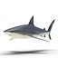 Sharks Rigged Collection 9 per Cinema 4D