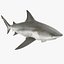 Sharks Rigged Collection 9 per Cinema 4D