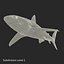 Sharks Rigged Collection 9 per Cinema 4D