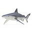 Sharks Rigged Collection 9 per Cinema 4D