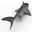 Sharks Rigged Collection 9 per Cinema 4D