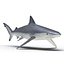 Sharks Rigged Collection 9 per Cinema 4D