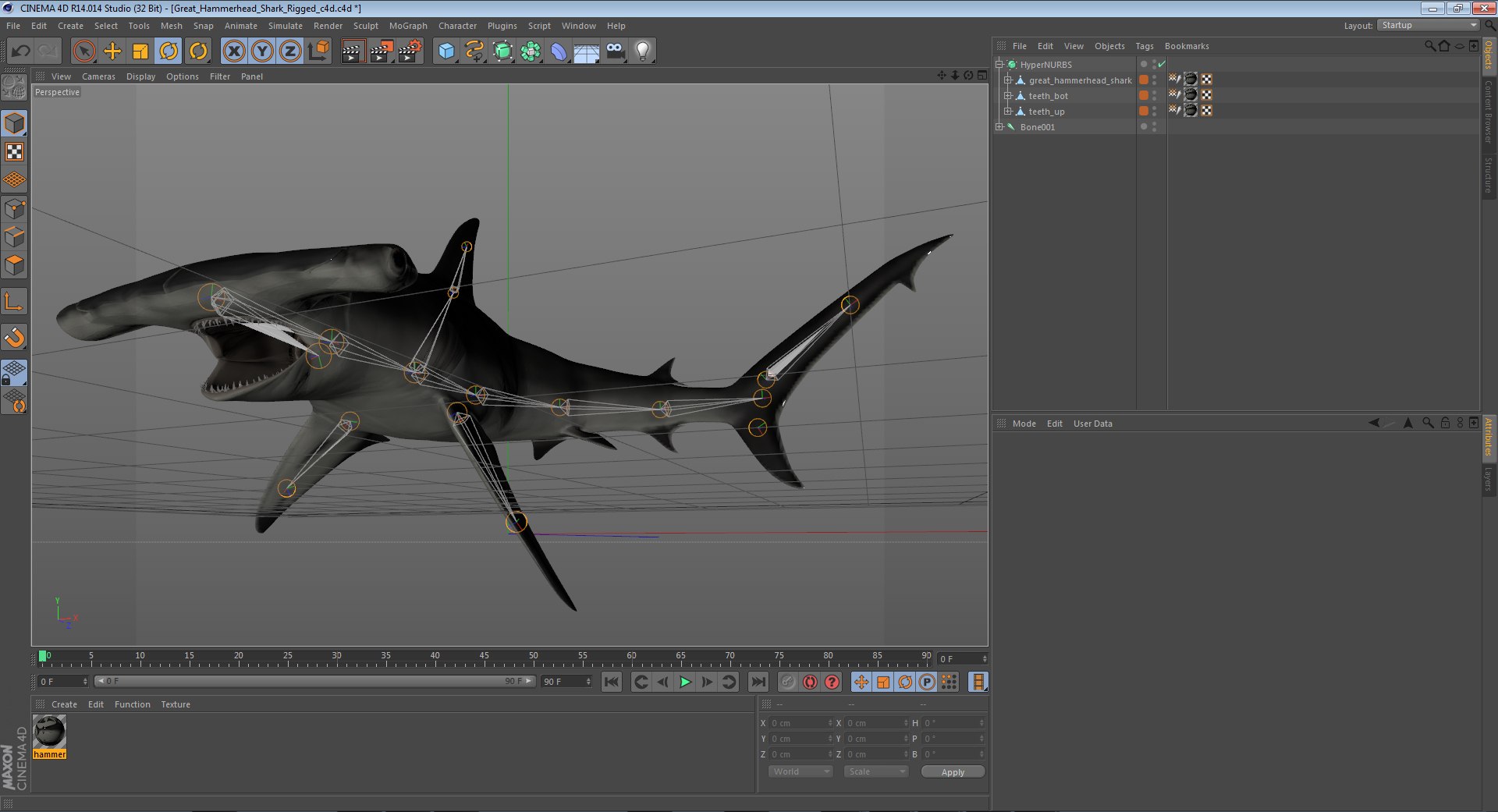 3D sharks rigged 9 https://p.turbosquid.com/ts-thumb/P0/YQIDU6/ppdohIfj/greathammerheadsharkrigged3dmodelcinemac4d39/jpg/1582543852/1920x1080/fit_q87/5170b6df35de120fe7140fee01016b2317d8b2a8/greathammerheadsharkrigged3dmodelcinemac4d39.jpg