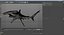Sharks Rigged Collection 9 per Cinema 4D