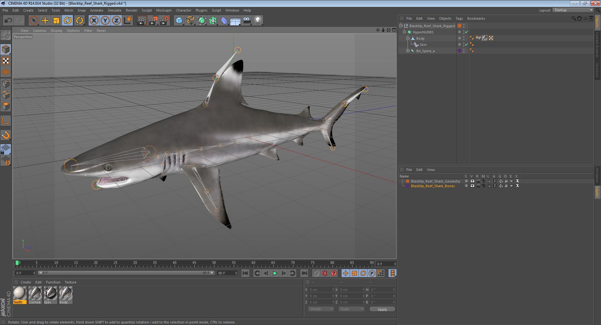 3D sharks rigged 9 https://p.turbosquid.com/ts-thumb/P0/YQIDU6/qAOr63a2/blacktipreefsharkriggedcinema4d3dmodel23/jpg/1582543852/1920x1080/fit_q87/4308773e1379d432b67b364da11b85be1eafe8eb/blacktipreefsharkriggedcinema4d3dmodel23.jpg