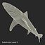 Sharks Rigged Collection 9 per Cinema 4D