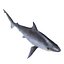 Sharks Rigged Collection 9 per Cinema 4D