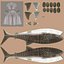 Sharks Rigged Collection 9 per Cinema 4D