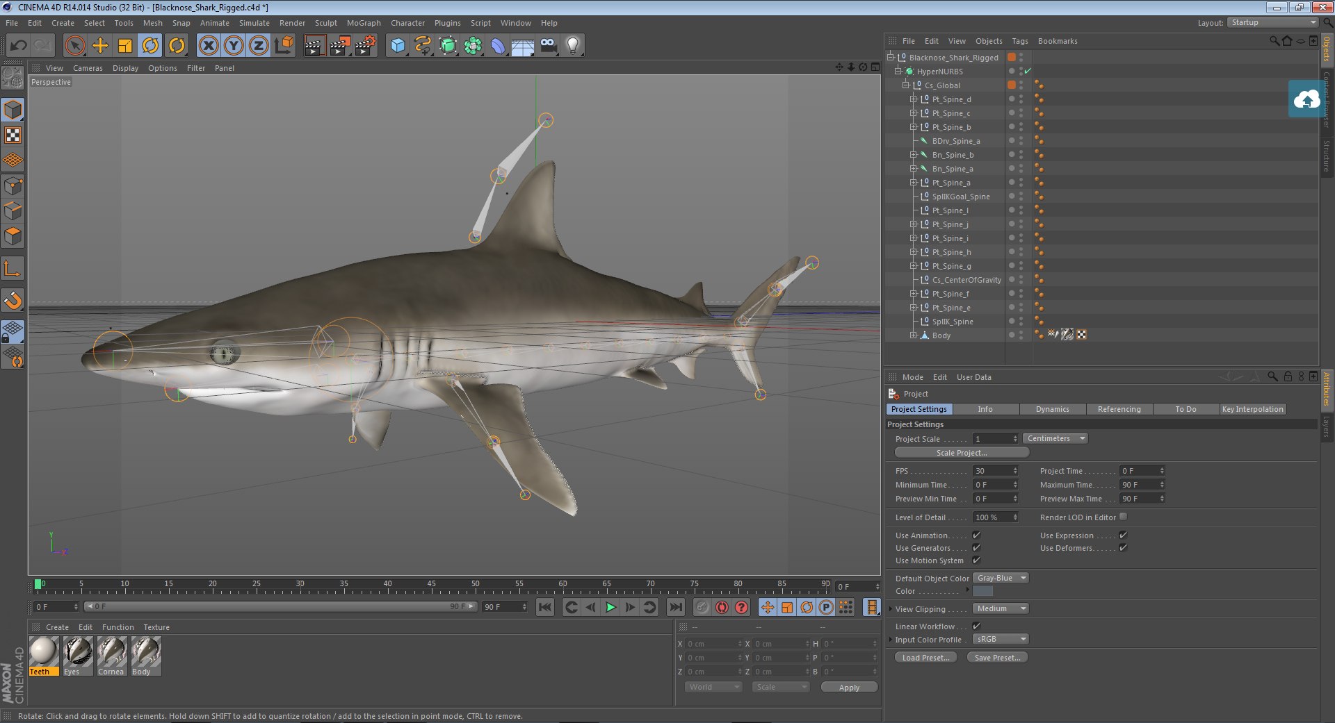 3D sharks rigged 9 https://p.turbosquid.com/ts-thumb/P0/YQIDU6/tVe3KNCk/blacknosesharkriggedcinema4d3dmodel24/jpg/1582543852/1920x1080/fit_q87/e1e0f60d48c41f486b53888e9f1272bae4a07146/blacknosesharkriggedcinema4d3dmodel24.jpg