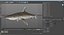 Sharks Rigged Collection 9 per Cinema 4D