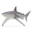 Sharks Rigged Collection 9 per Cinema 4D