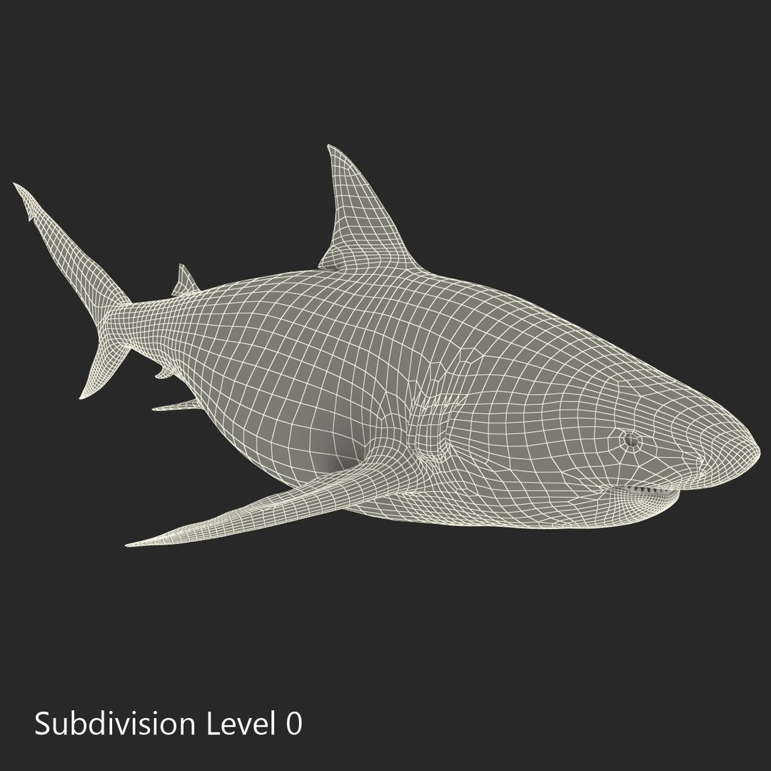 3D sharks rigged 9 https://p.turbosquid.com/ts-thumb/P0/YQIDU6/uJHnVGeZ/sharkscollection3dmodels162/jpg/1465305621/1920x1080/fit_q87/0593cd60dc73d1c8c988bb93e7d754188ad51581/sharkscollection3dmodels162.jpg