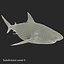 Sharks Rigged Collection 9 per Cinema 4D
