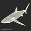 Sharks Rigged Collection 9 per Cinema 4D