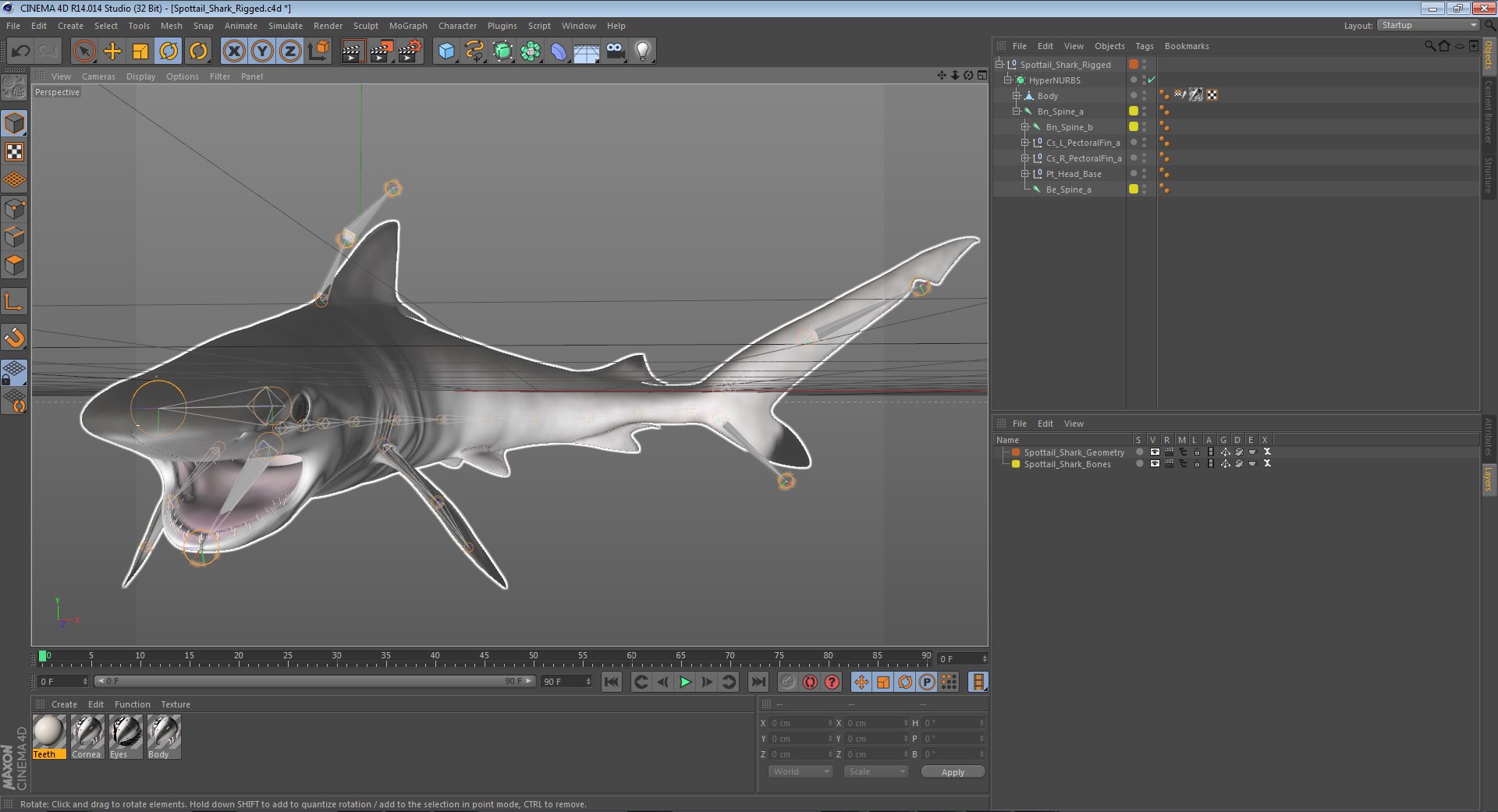 3D sharks rigged 9 https://p.turbosquid.com/ts-thumb/P0/YQIDU6/vYmP5lhf/spottailsharkriggedcinema4d3dmodel17/jpg/1582543853/1920x1080/fit_q87/b0adc60120b31432b3bcf81f796b7988b8176385/spottailsharkriggedcinema4d3dmodel17.jpg