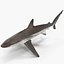 Sharks Rigged Collection 9 per Cinema 4D