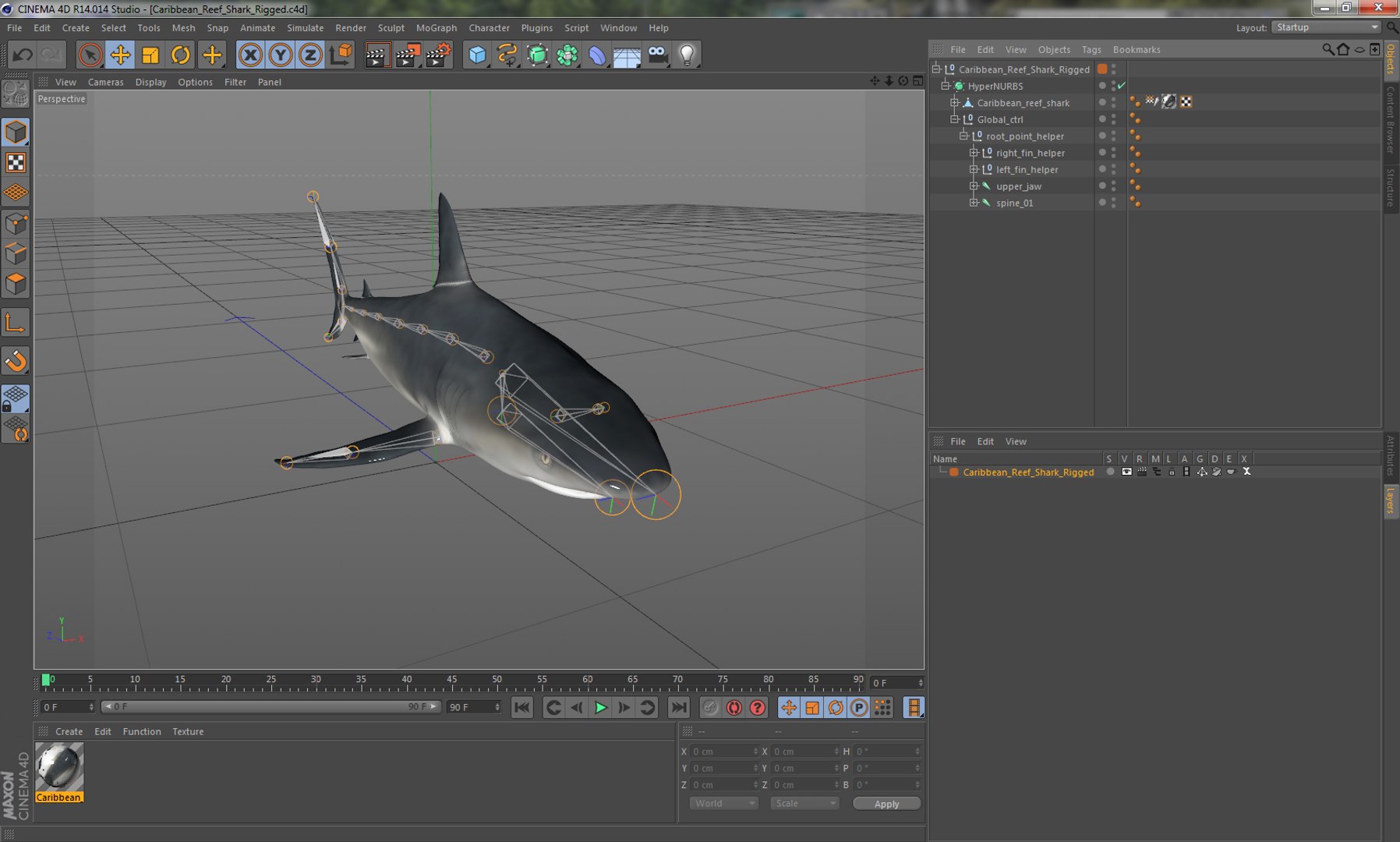 3D sharks rigged 9 https://p.turbosquid.com/ts-thumb/P0/YQIDU6/weKYdwsy/caribbeanreefsharkriggedcinema4d3dmodel28/jpg/1582543852/1920x1080/fit_q87/0773be743273fd3bccdcd861f196a9a2494adb0f/caribbeanreefsharkriggedcinema4d3dmodel28.jpg