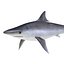 Sharks Rigged Collection 9 per Cinema 4D