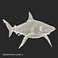 Sharks Rigged Collection 9 per Cinema 4D