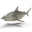 Sharks Rigged Collection 9 per Cinema 4D