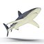 Sharks Rigged Collection 9 per Cinema 4D