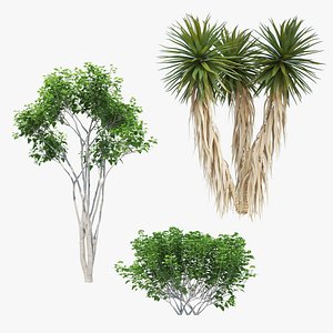 Trees Collection 01