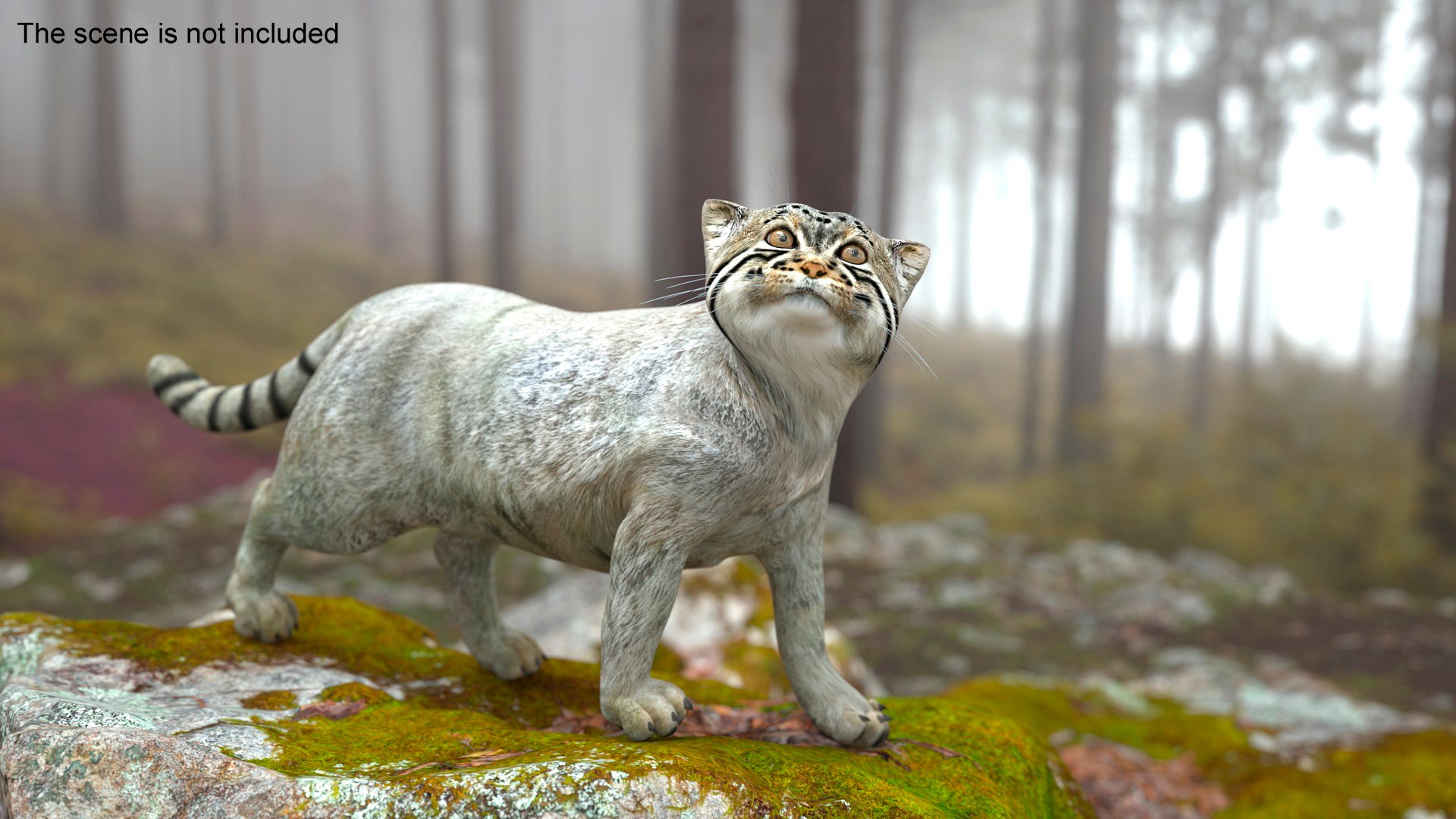 Cat Rigged Animated for Maya 3D model preview