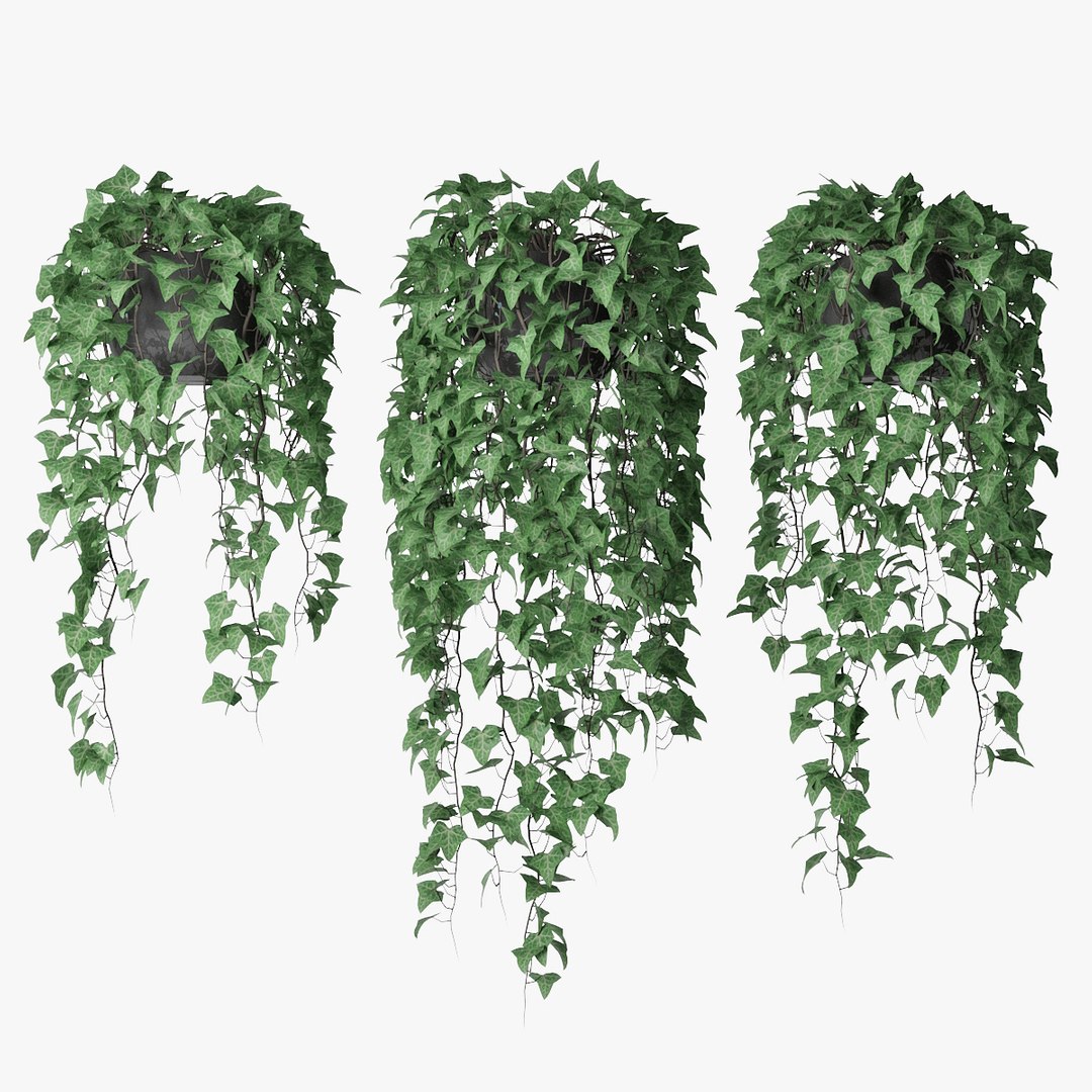 Ivy pot 3D - TurboSquid 1430544