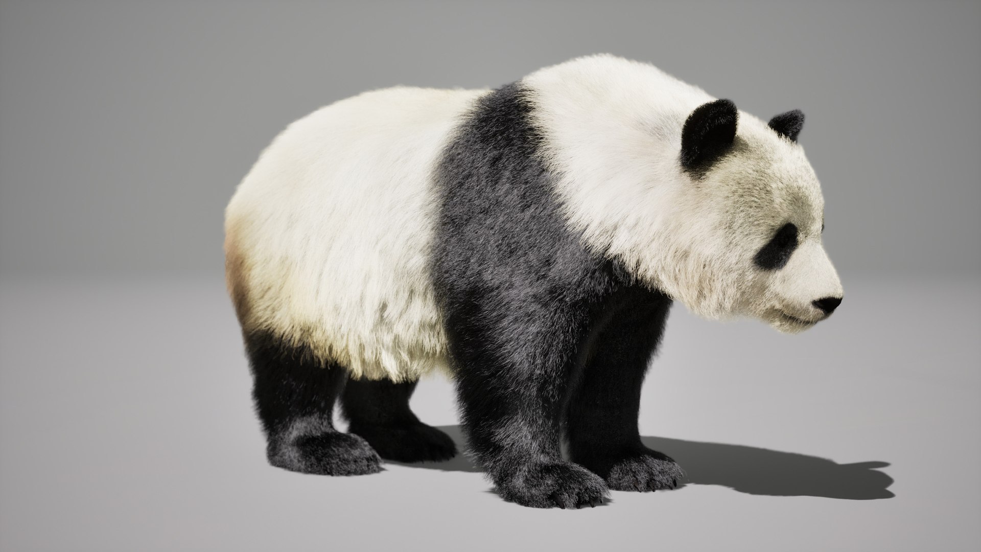 Panda Rig UNREAL Project 3D Model - TurboSquid 2293159