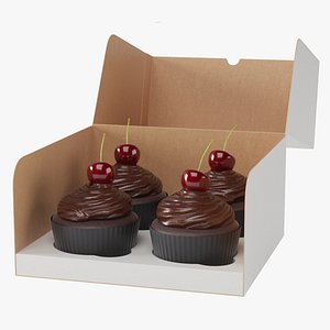 Cupcake Package Box 03