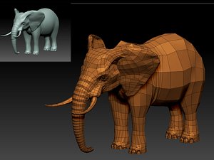elephant 3D