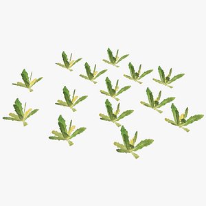 plant lawn 3D model