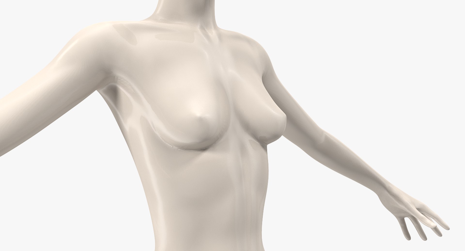 Woman breasts template 2 nipples shapes v1 3D Model in Anatomy 3DExport